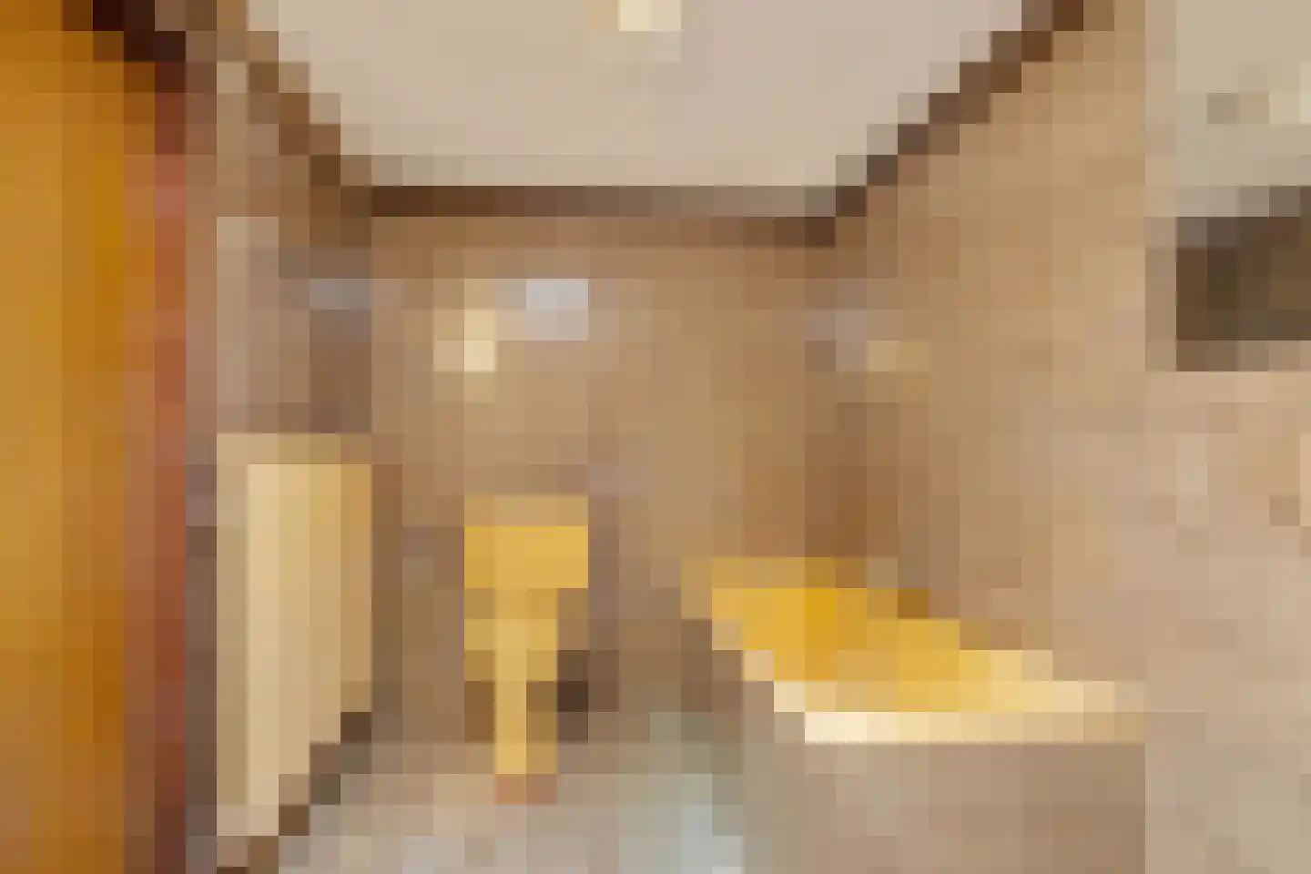 Kampstuk 13 Huissen thumbnail 19