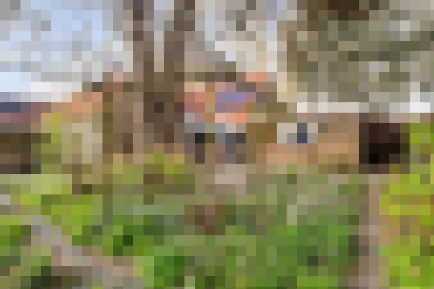 Kampstuk 13 Huissen thumbnail 28