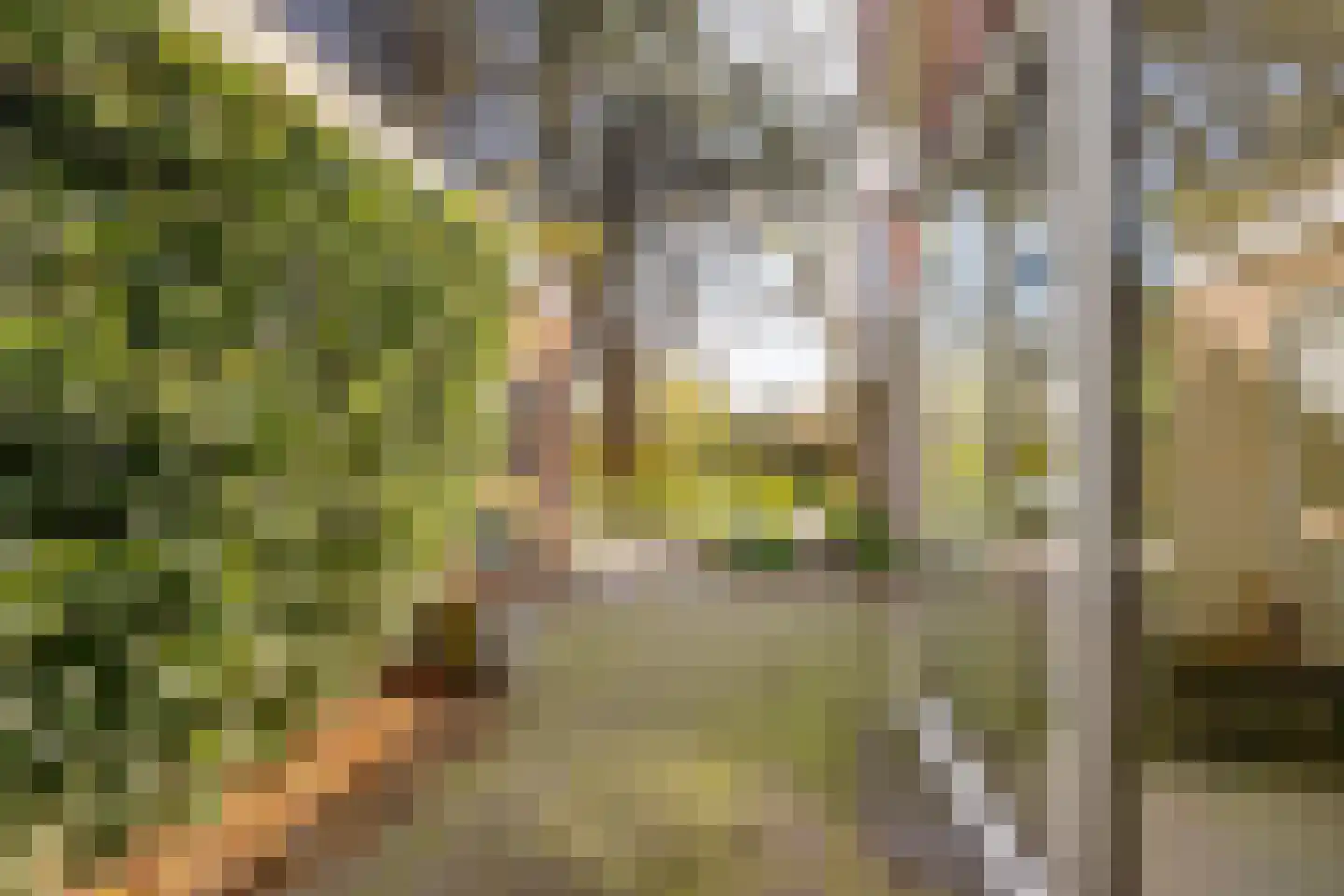 Kampstuk 13 Huissen thumbnail 29