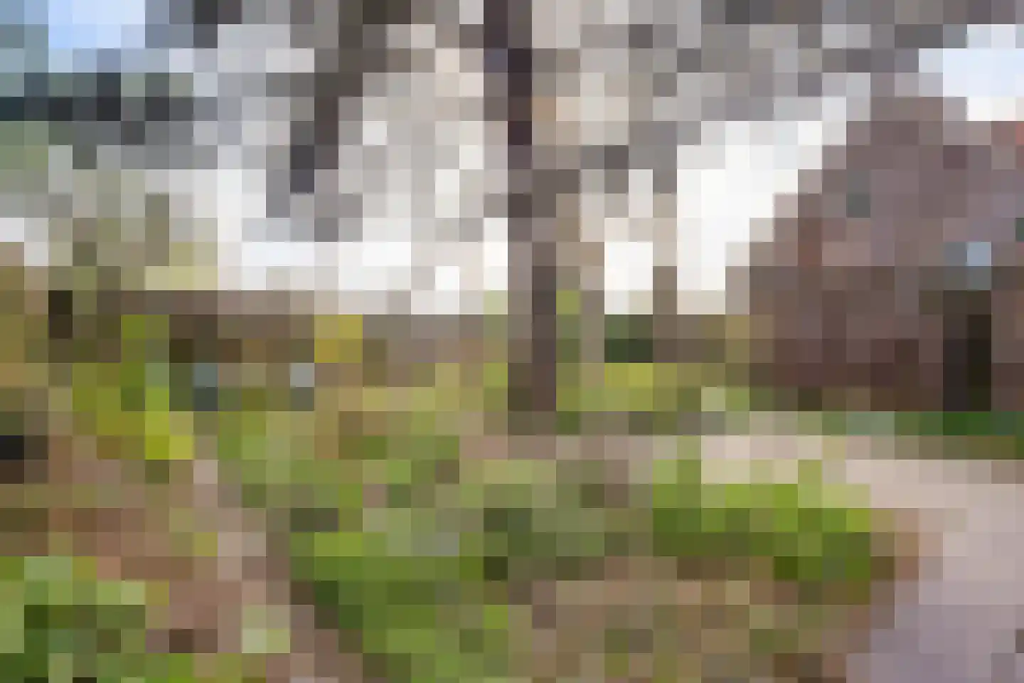 Kampstuk 13 Huissen thumbnail 30