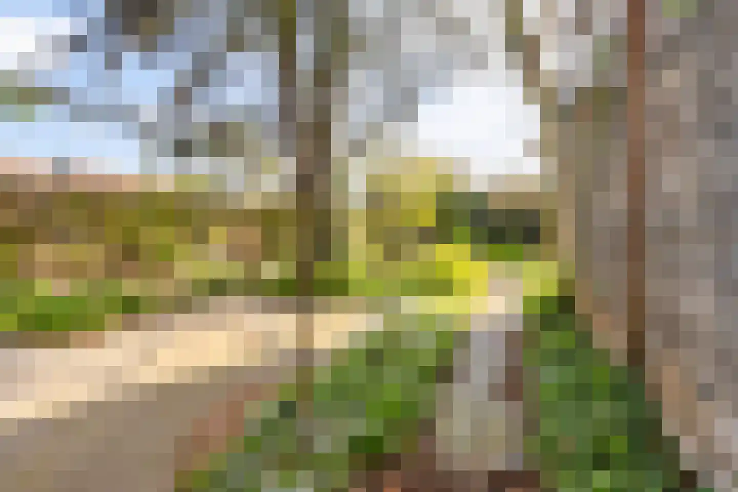 Kampstuk 13 Huissen thumbnail 32