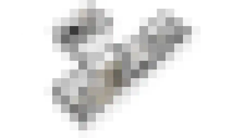 Kampstuk 13 Huissen thumbnail 42