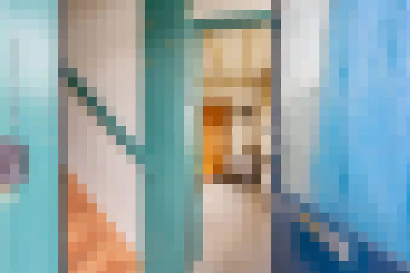 Kampstuk 13 Huissen thumbnail 5
