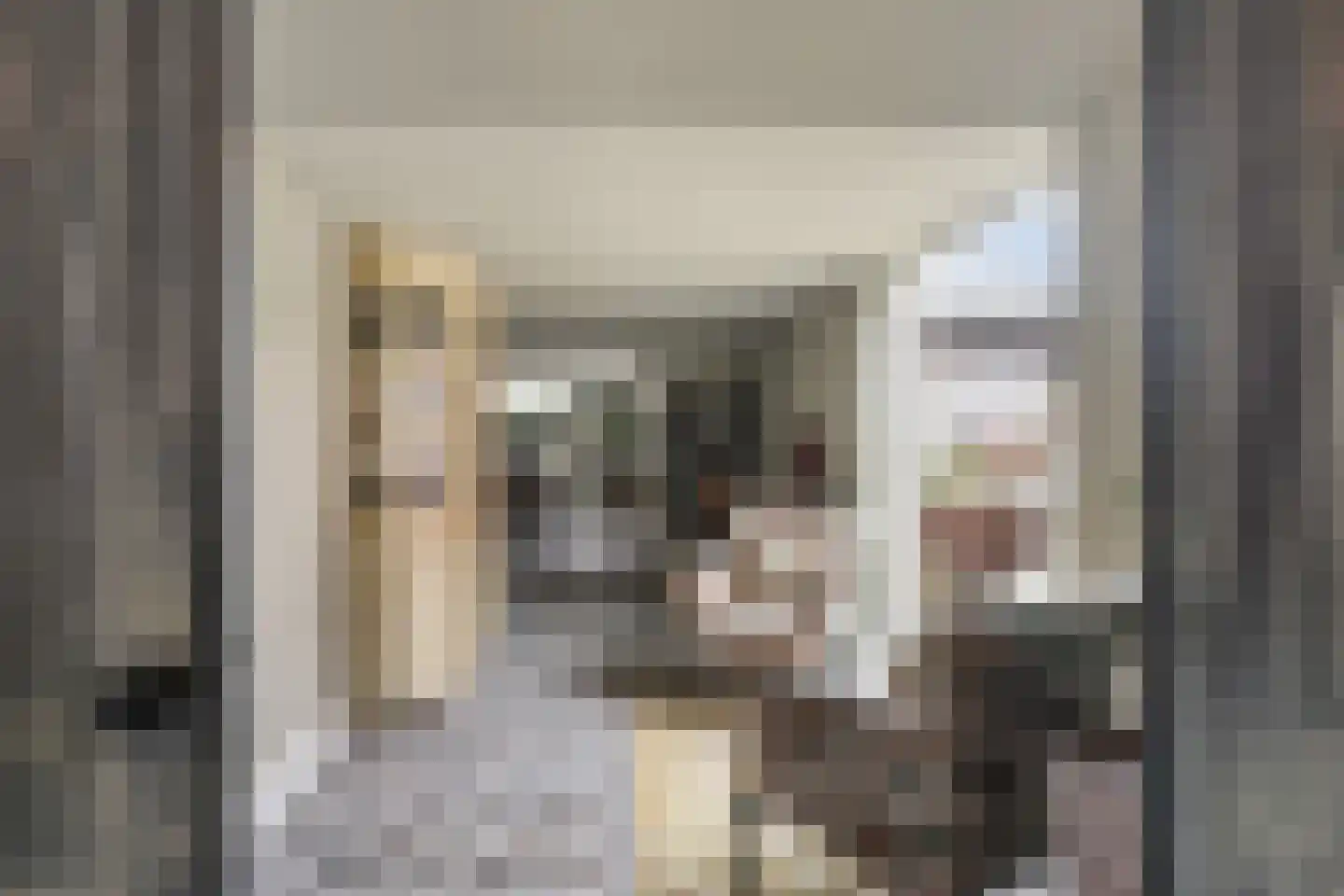 Kampstuk 14 Huissen thumbnail 11