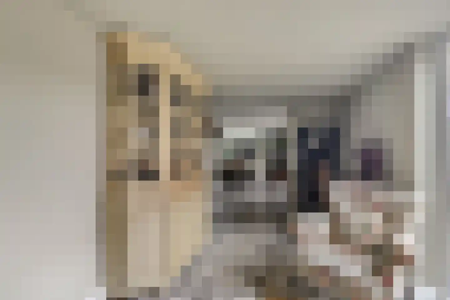 Kampstuk 14 Huissen thumbnail 13