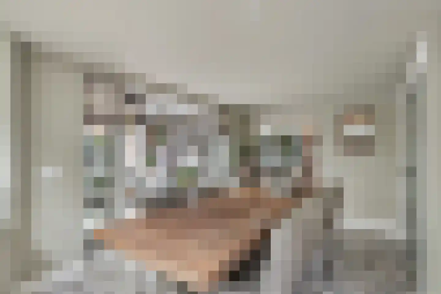 Kampstuk 14 Huissen thumbnail 19