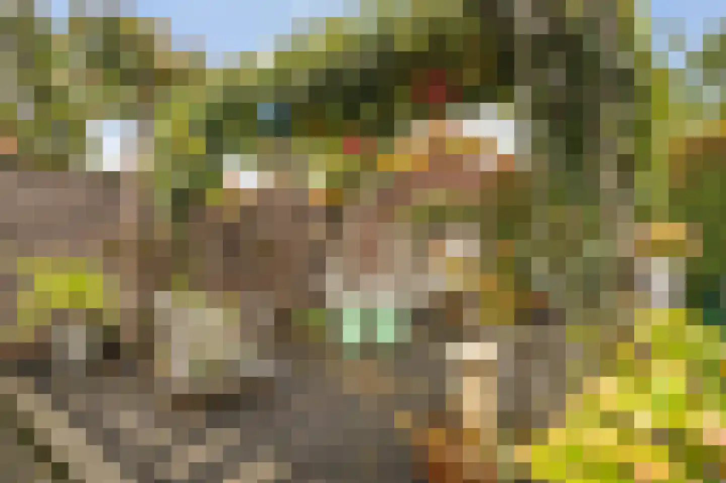 Kampstuk 14 Huissen thumbnail 23