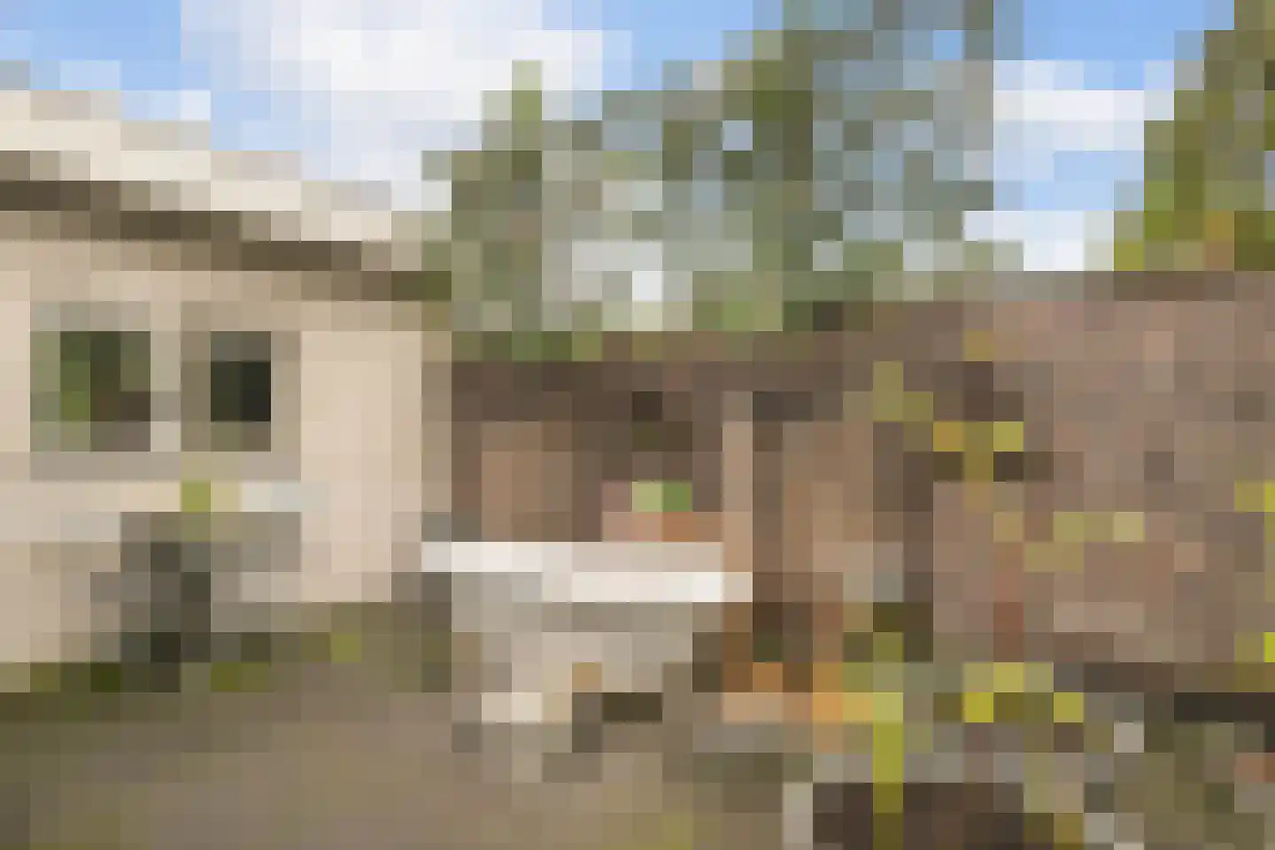 Kampstuk 14 Huissen thumbnail 26