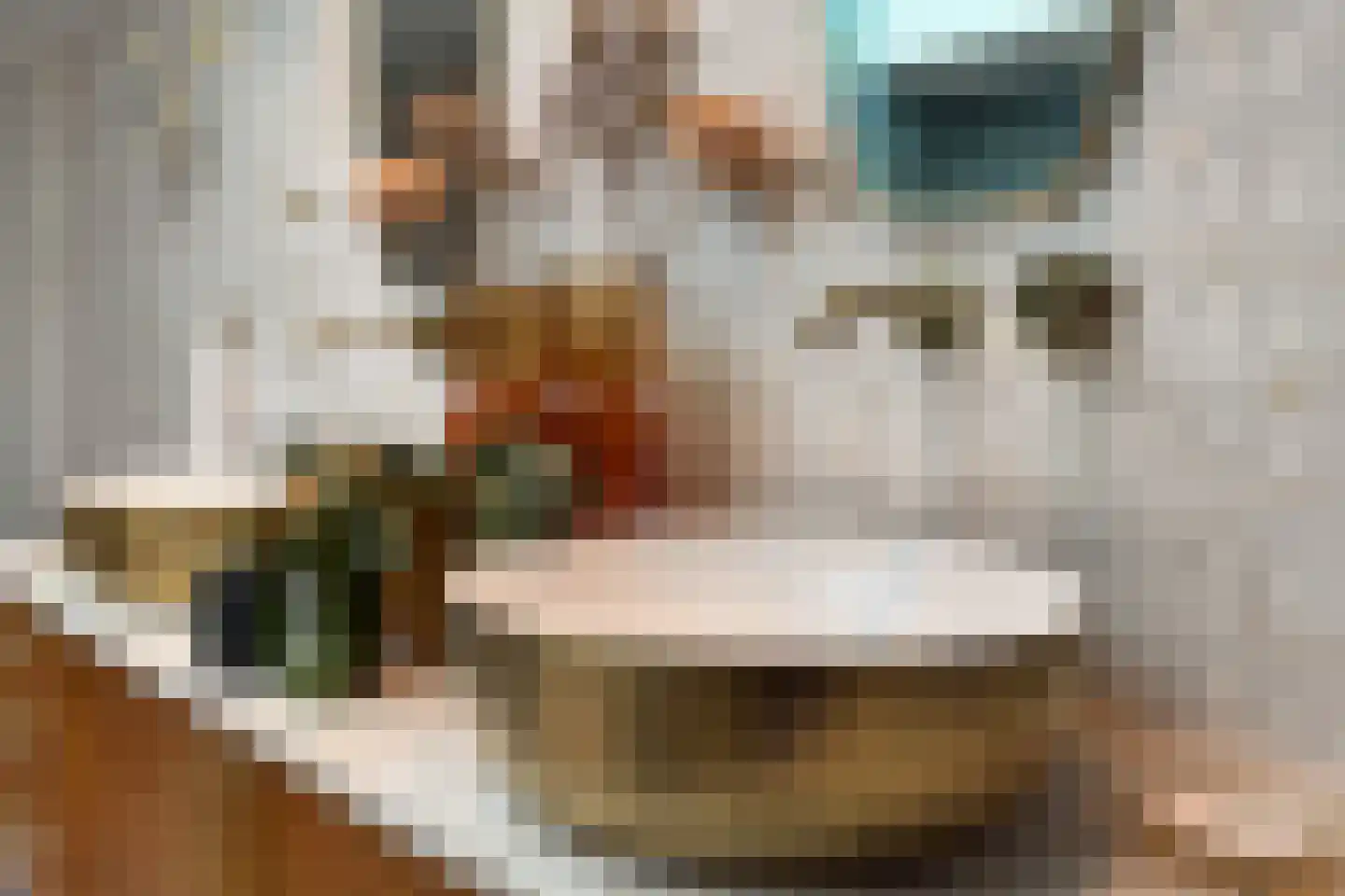 Kampstuk 14 Huissen thumbnail 30