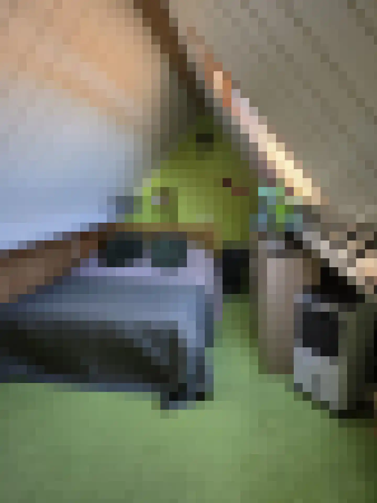 Kampstuk 14 Huissen thumbnail 37