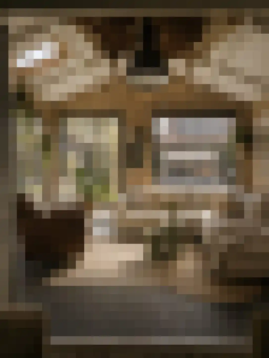 Kampstuk 14 Huissen thumbnail 5