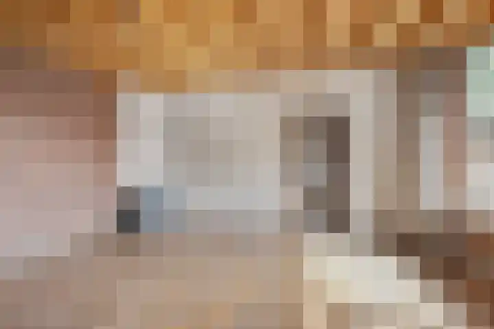 Kampstuk 18 Huissen thumbnail 10