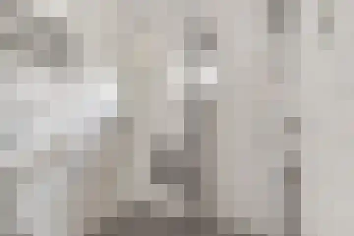 Kampstuk 18 Huissen thumbnail 13