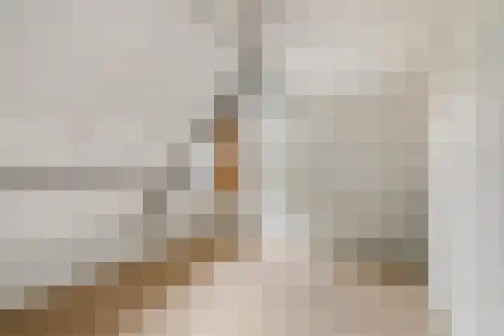 Kampstuk 18 Huissen thumbnail 17