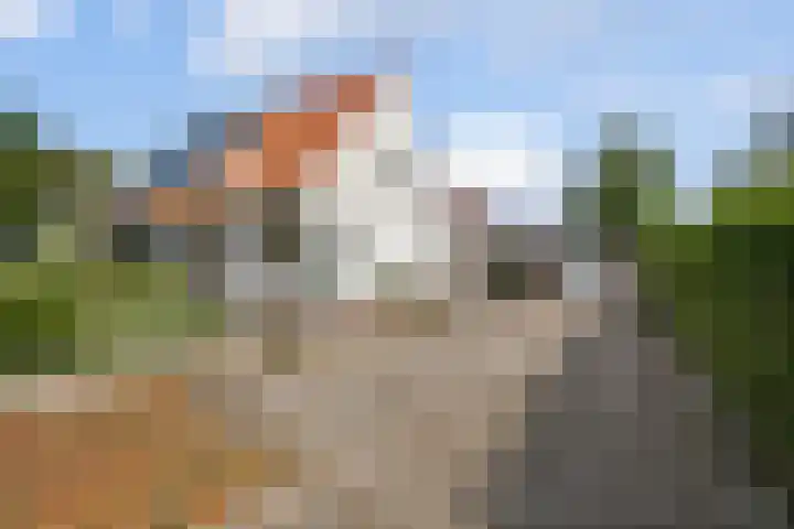 Kampstuk 18 Huissen thumbnail 4