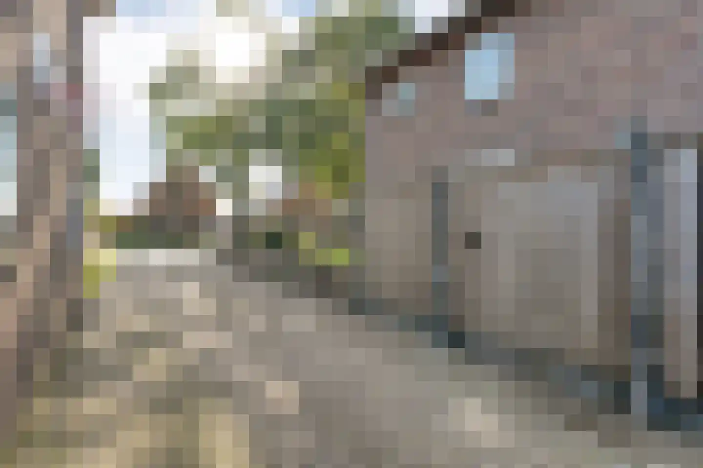 Kampsweg 16 Wijster thumbnail 16