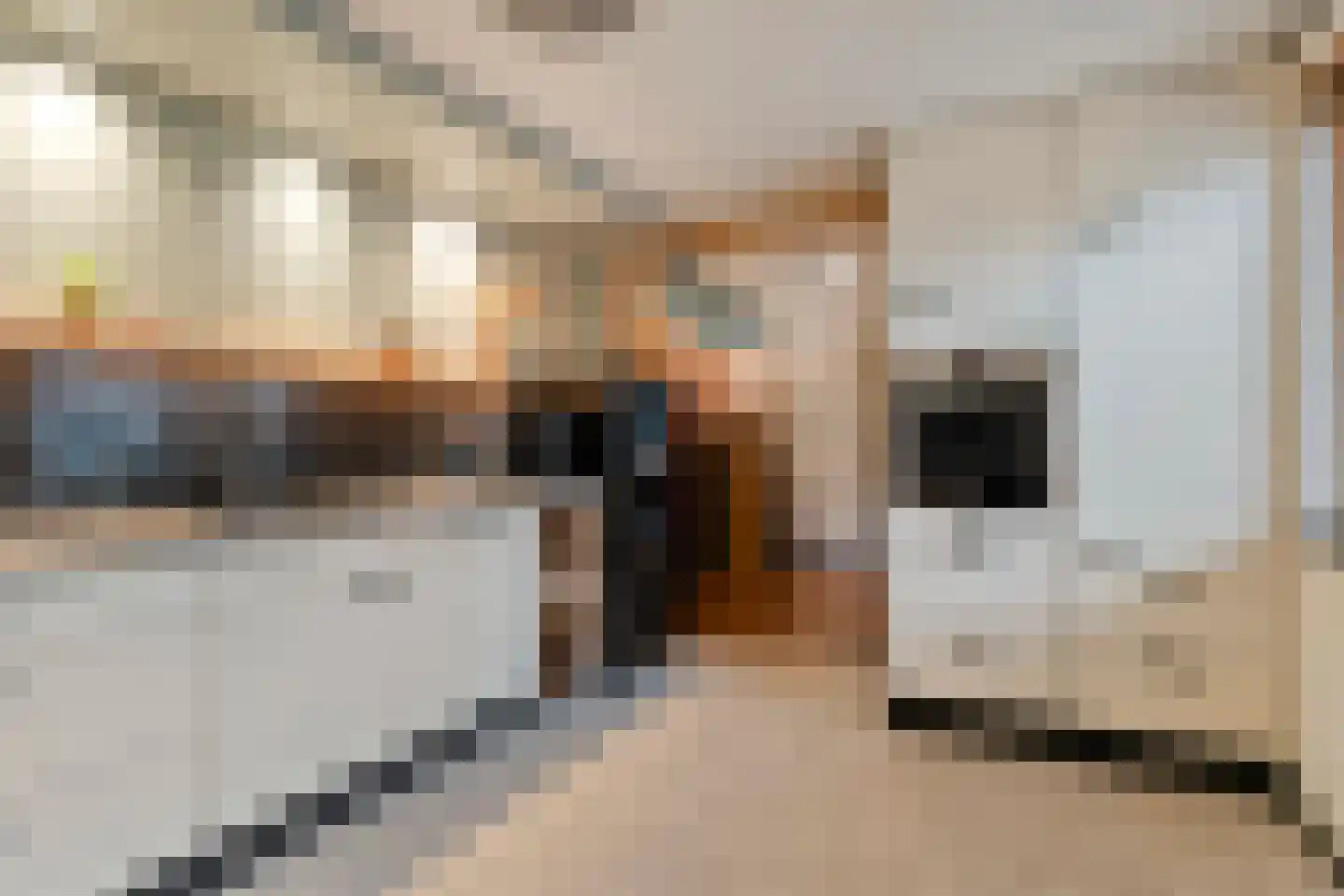 Kampsweg 16 Wijster thumbnail 34
