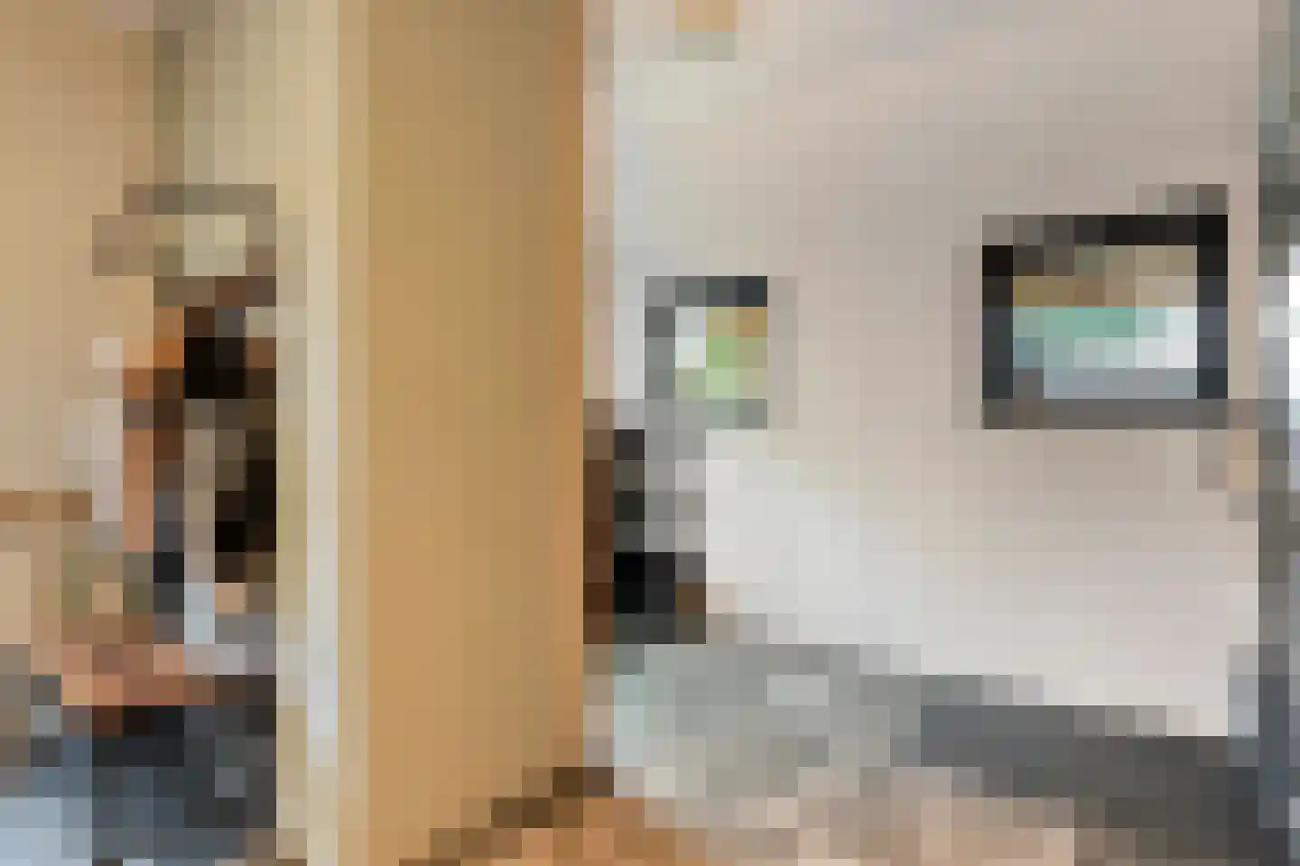 Kampsweg 16 Wijster thumbnail 40