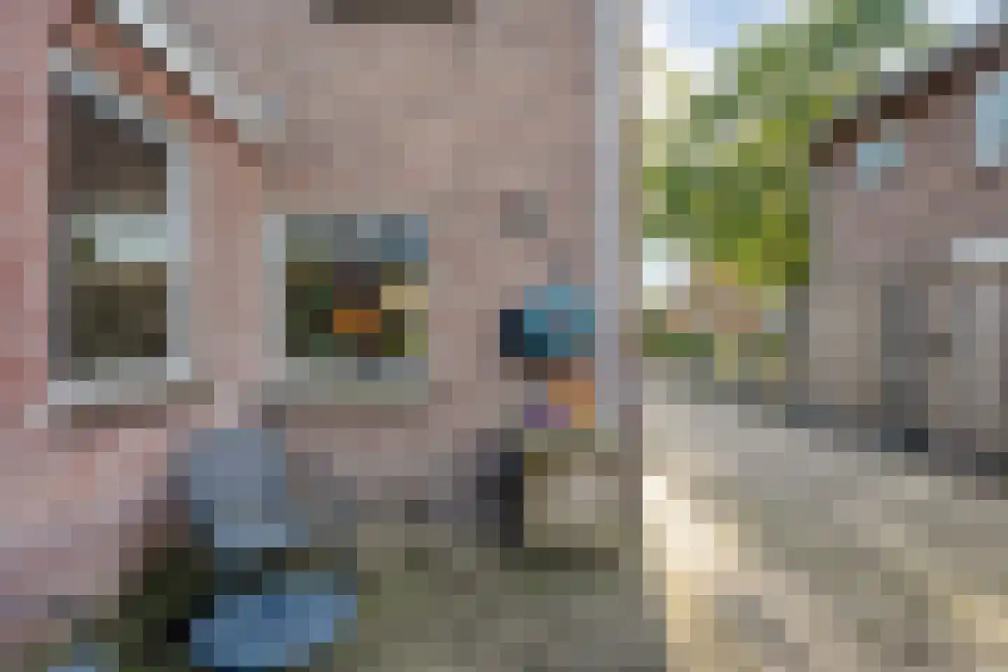 Kampsweg 16 Wijster thumbnail 57