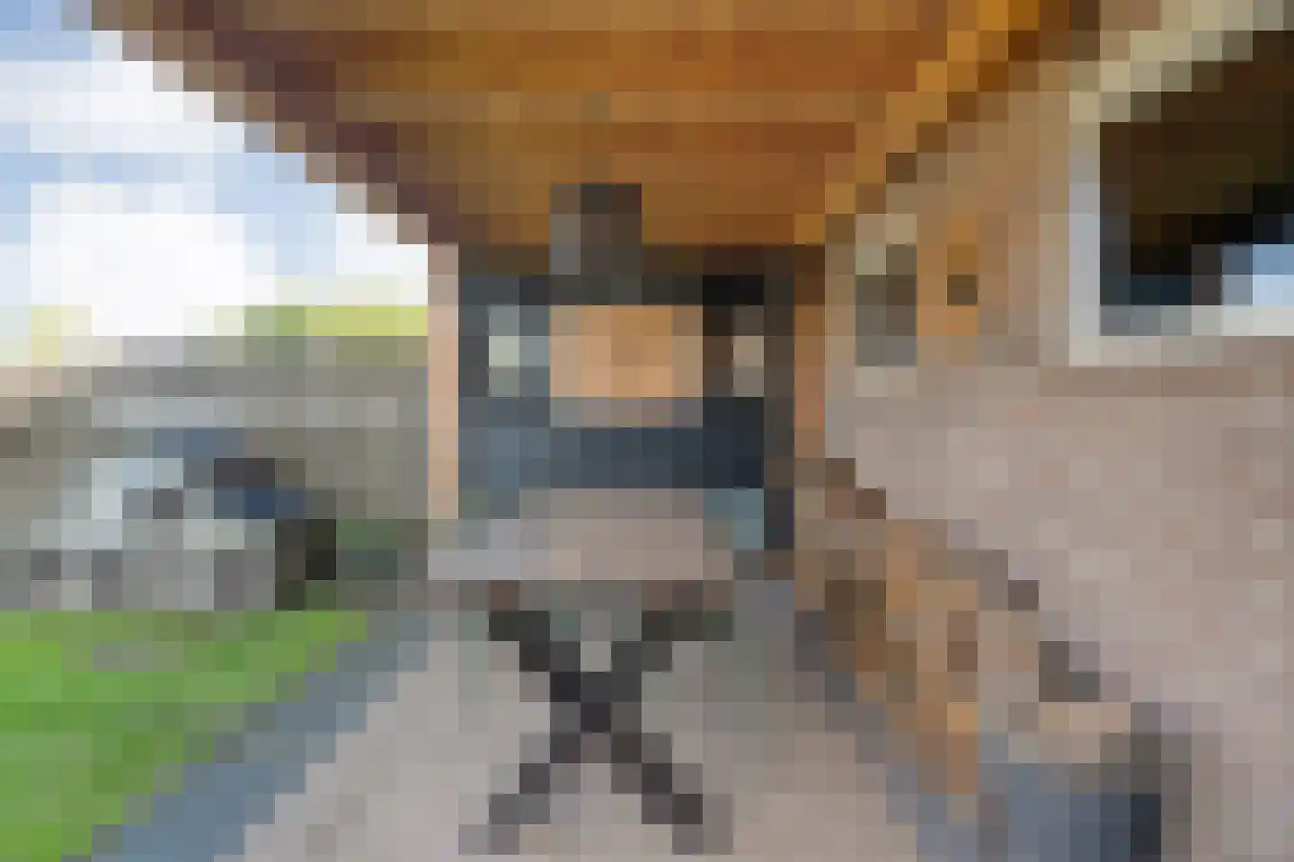 Kampsweg 16 Wijster thumbnail 60