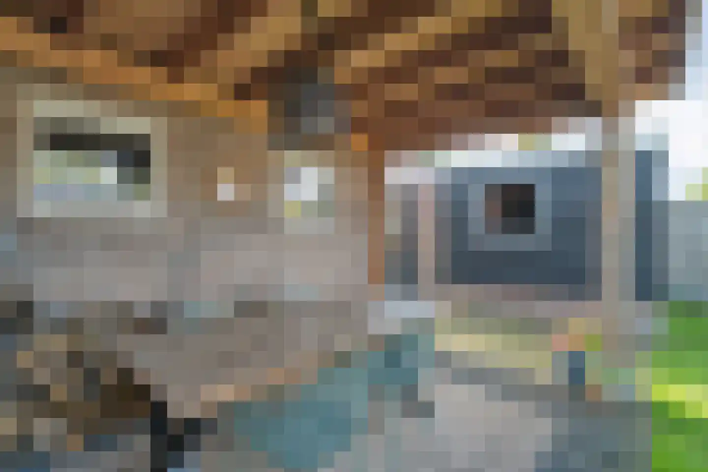 Kampsweg 16 Wijster thumbnail 62