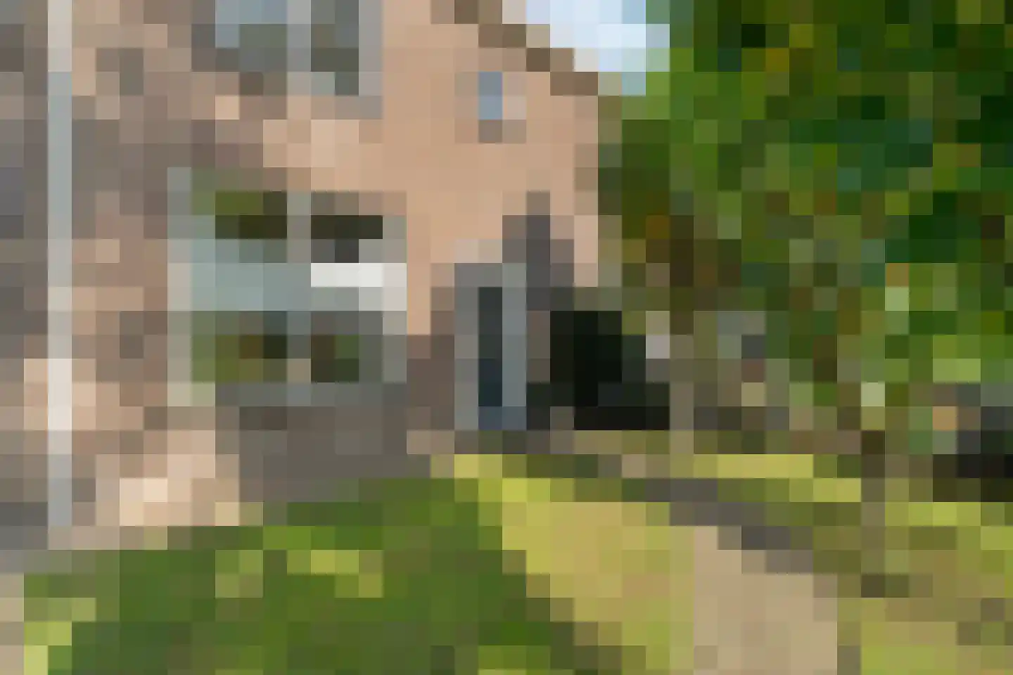 Kampsweg 16 Wijster thumbnail 73