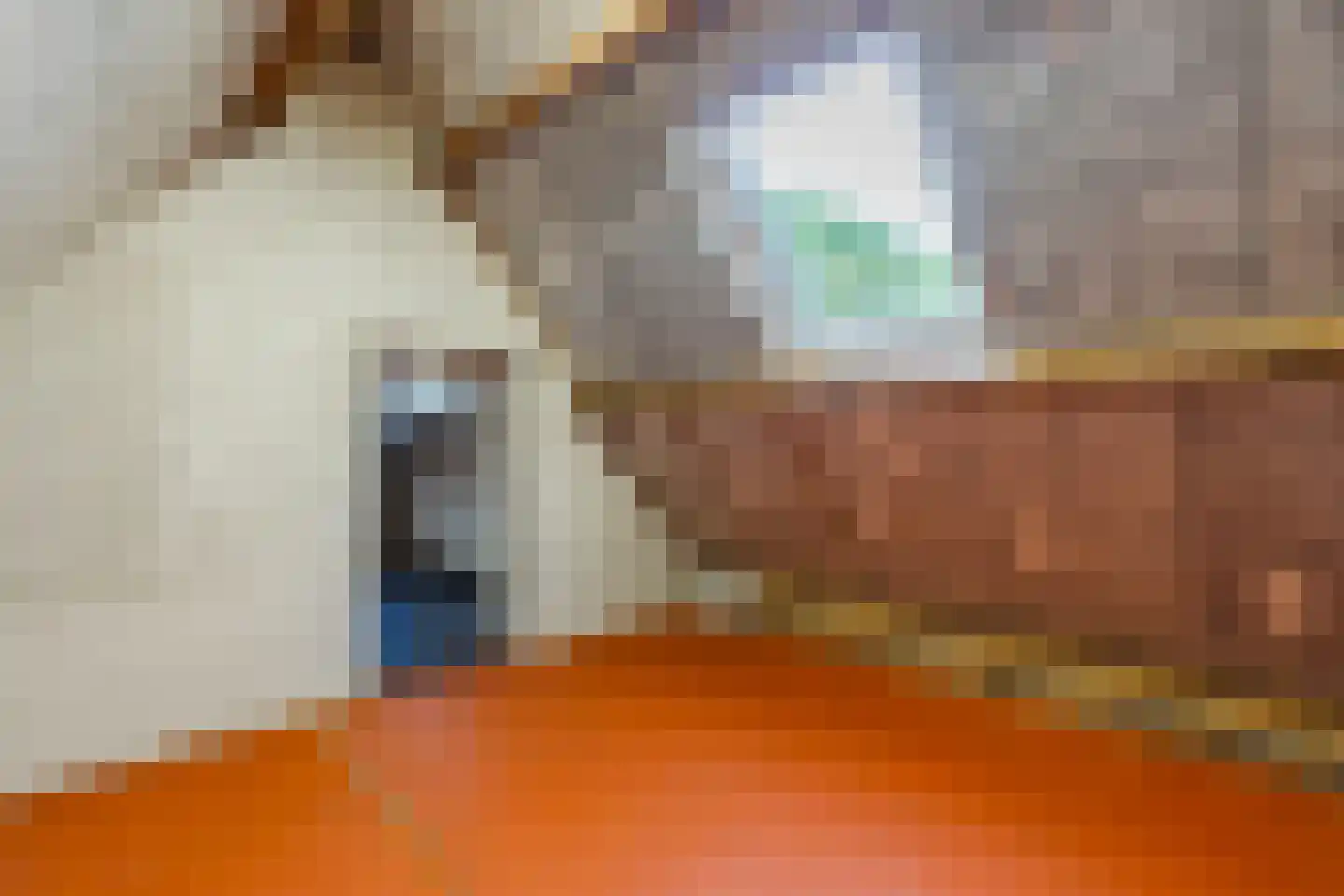 Kampsweg 31 Wijster thumbnail 35