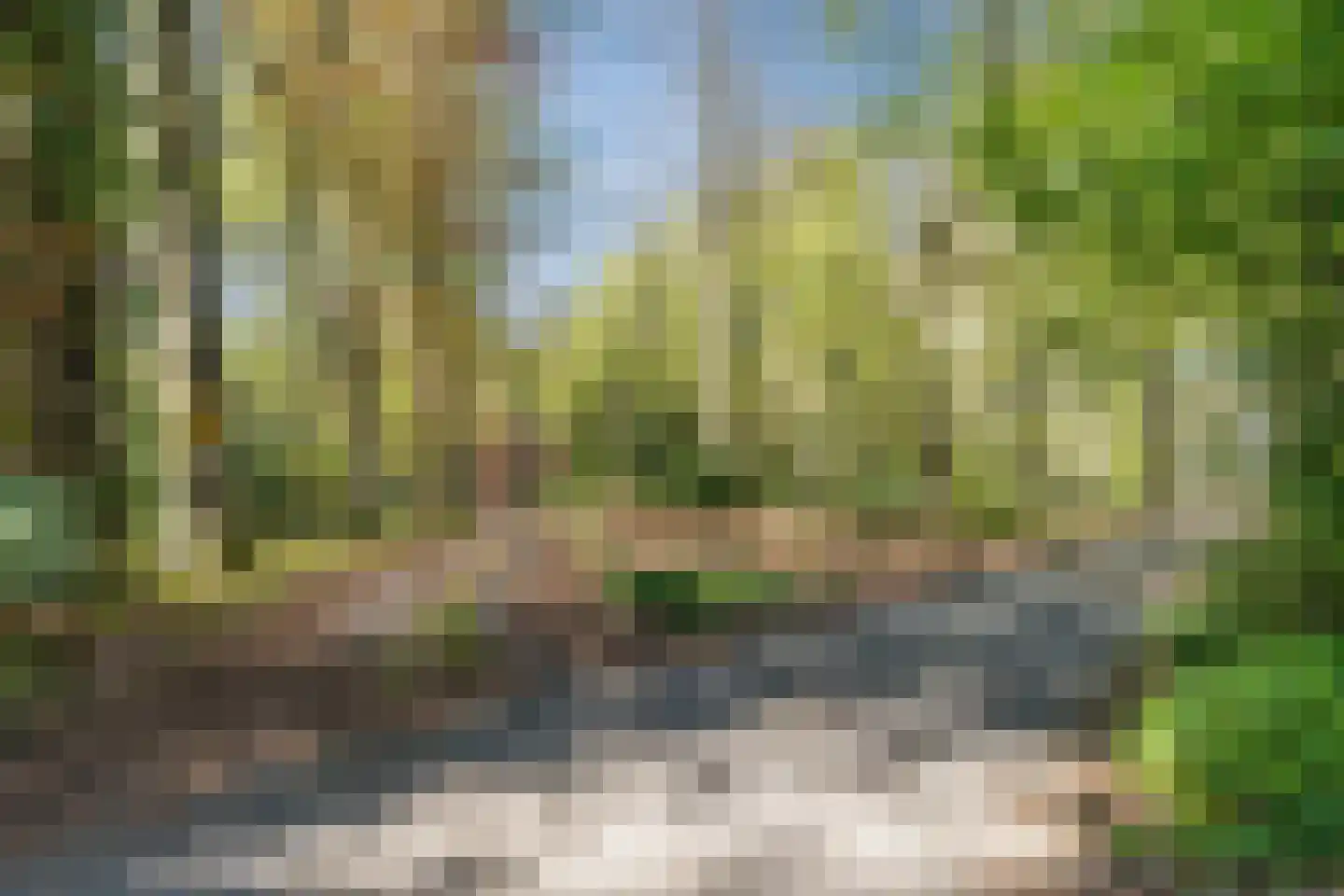 Kampsweg 31 Wijster thumbnail 4