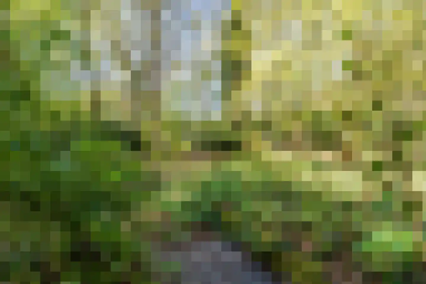 Kampsweg 31 Wijster thumbnail 45