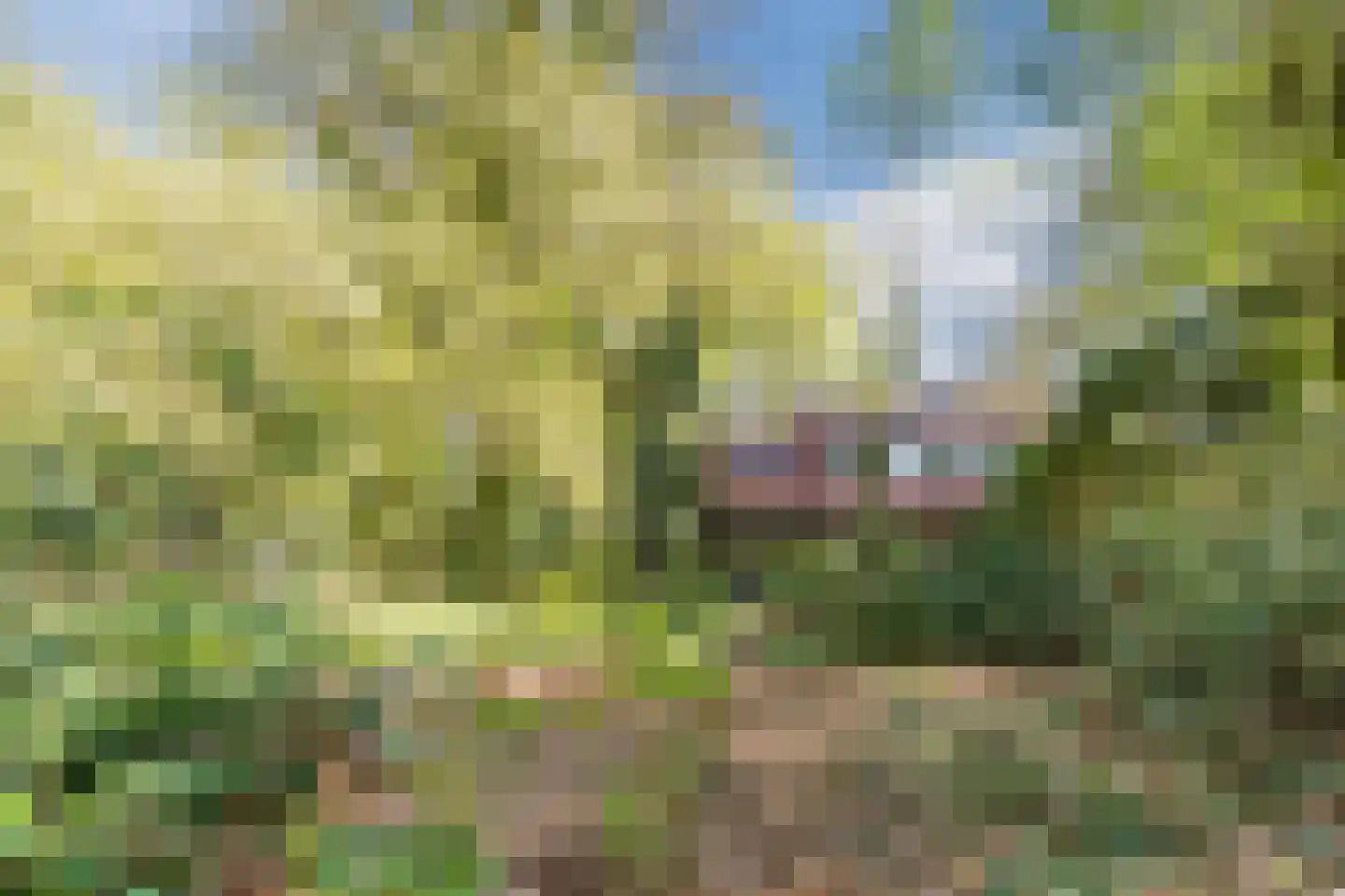 Kampsweg 31 Wijster thumbnail 46