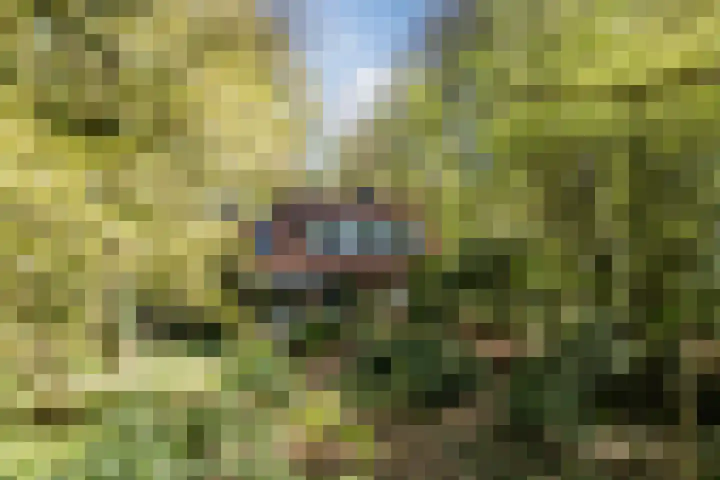 Kampsweg 31 Wijster thumbnail 47