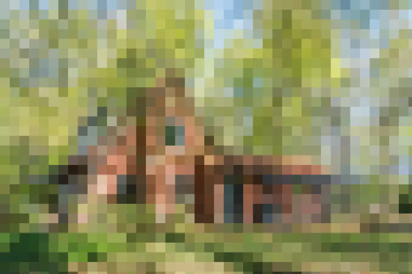 Kampsweg 31 Wijster thumbnail 49