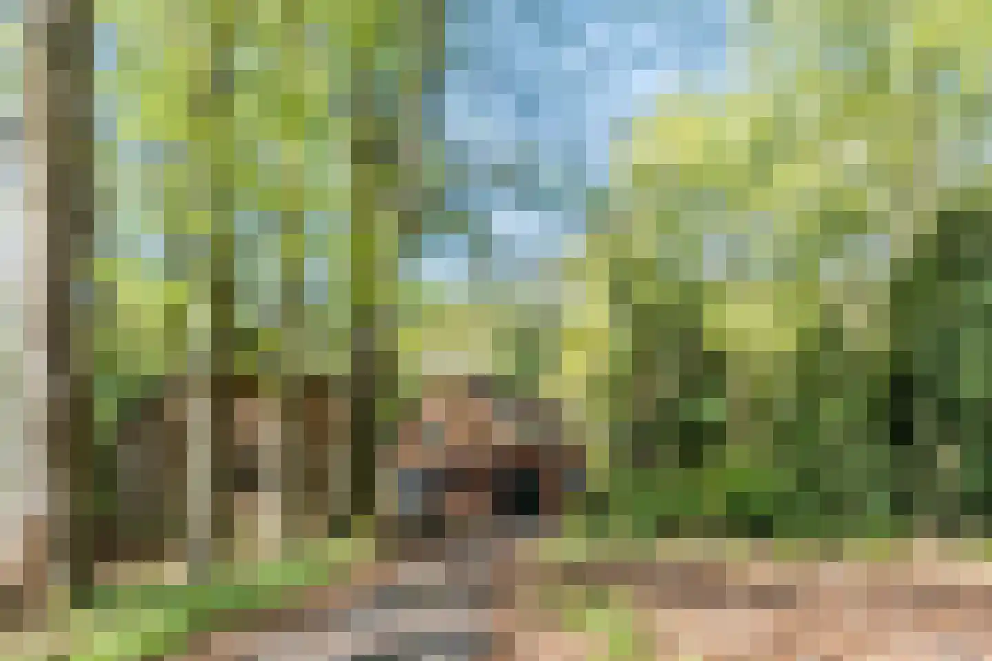 Kampsweg 31 Wijster thumbnail 5