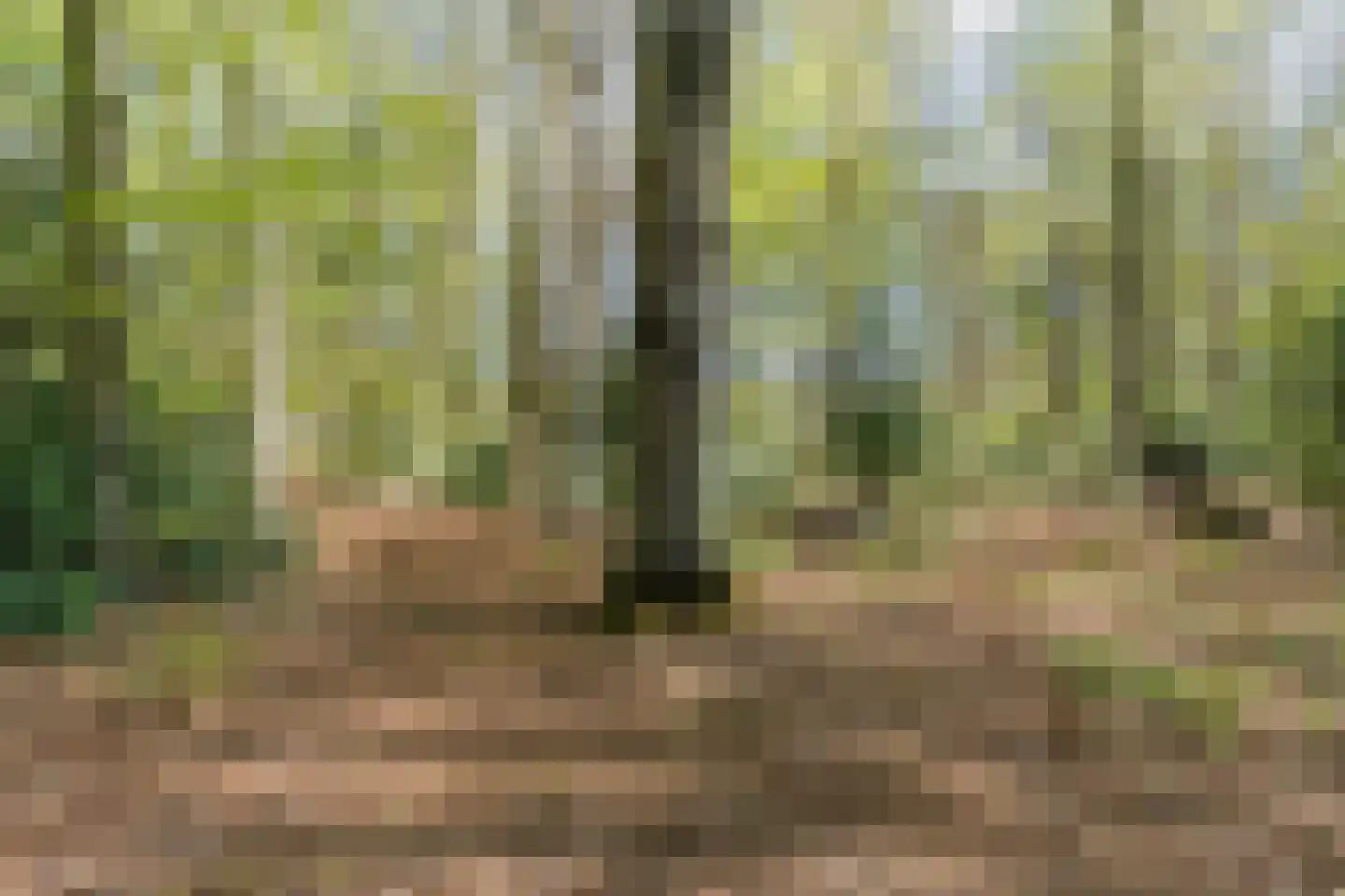 Kampsweg 31 Wijster thumbnail 51