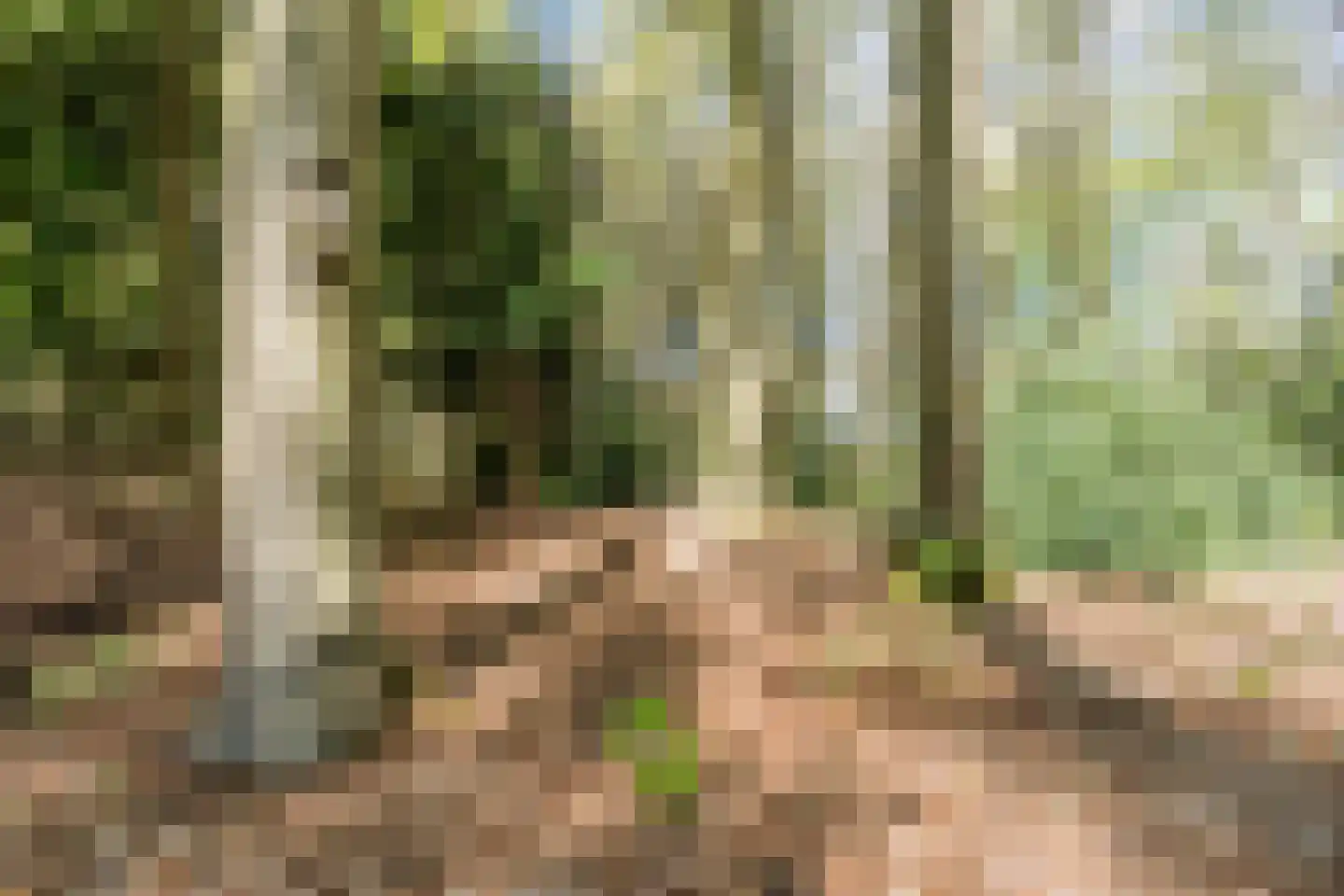 Kampsweg 31 Wijster thumbnail 52
