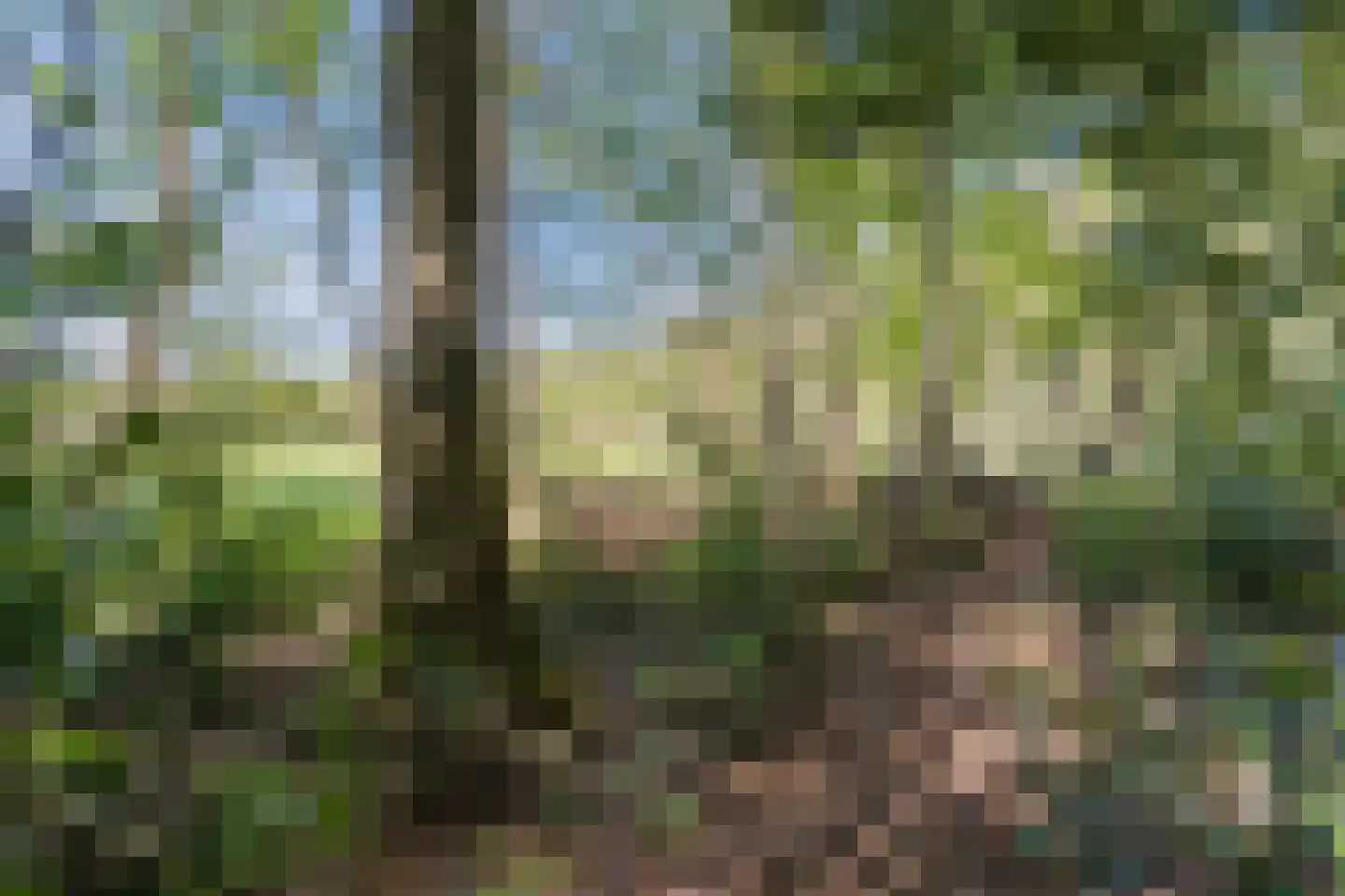 Kampsweg 31 Wijster thumbnail 53