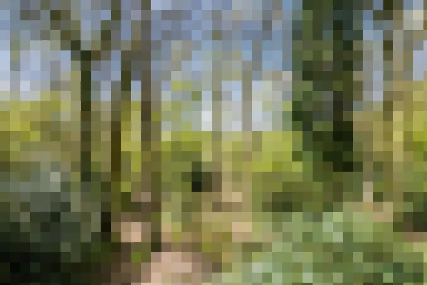 Kampsweg 31 Wijster thumbnail 56