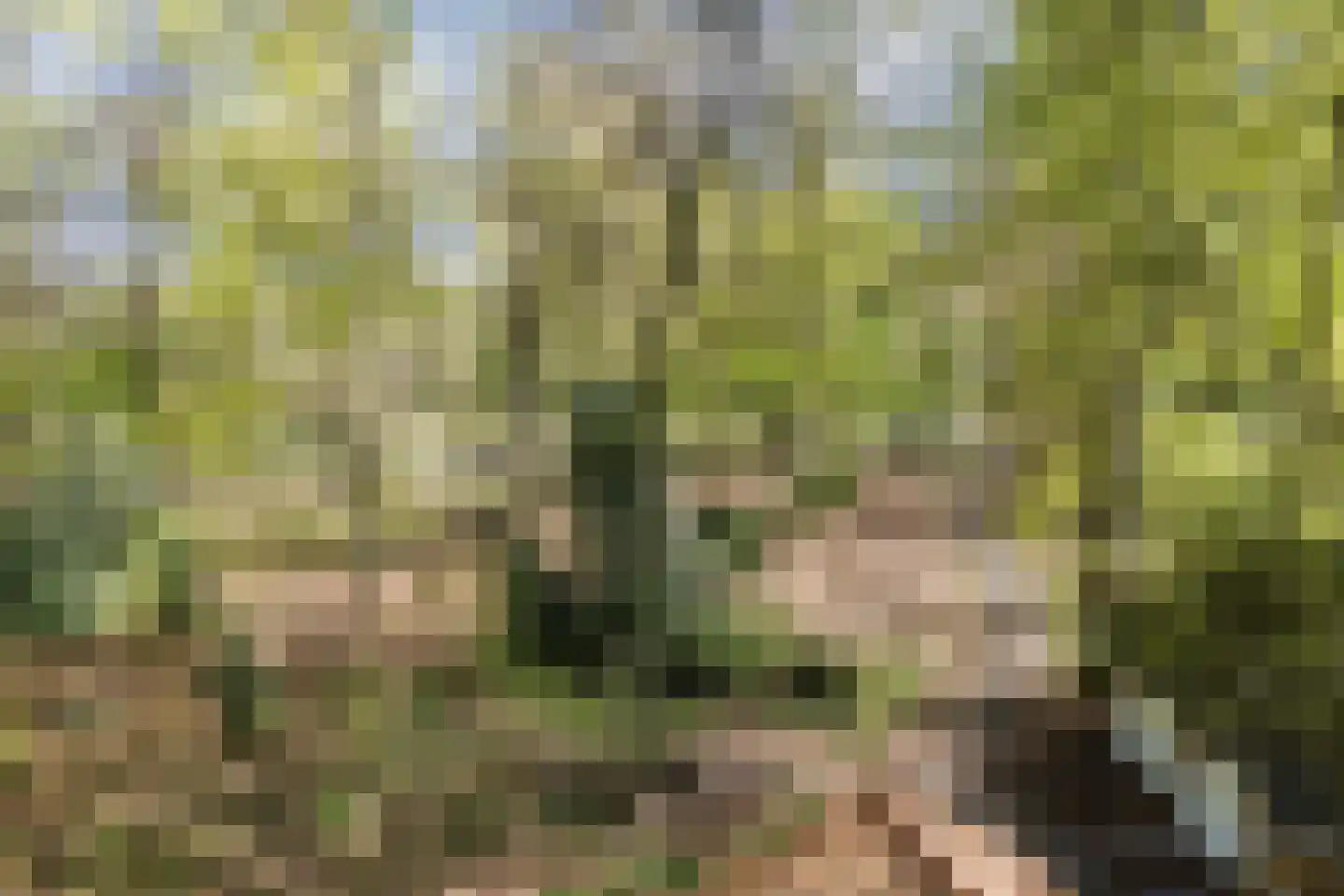 Kampsweg 31 Wijster thumbnail 57