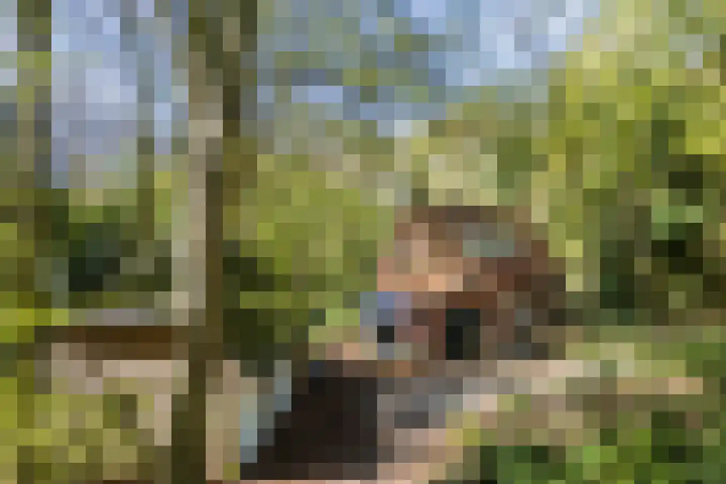 Kampsweg 31 Wijster thumbnail 58