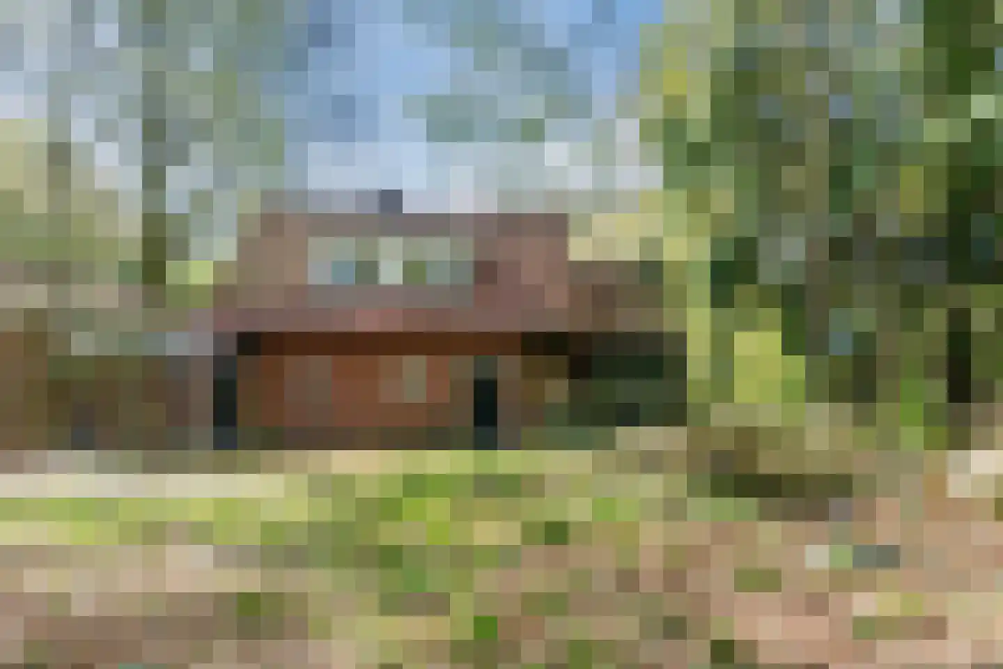 Kampsweg 31 Wijster thumbnail 8