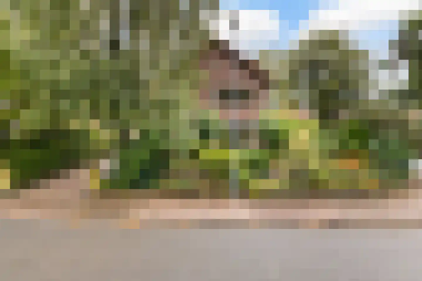 Kampvelderweg 39 Ermelo thumbnail 10