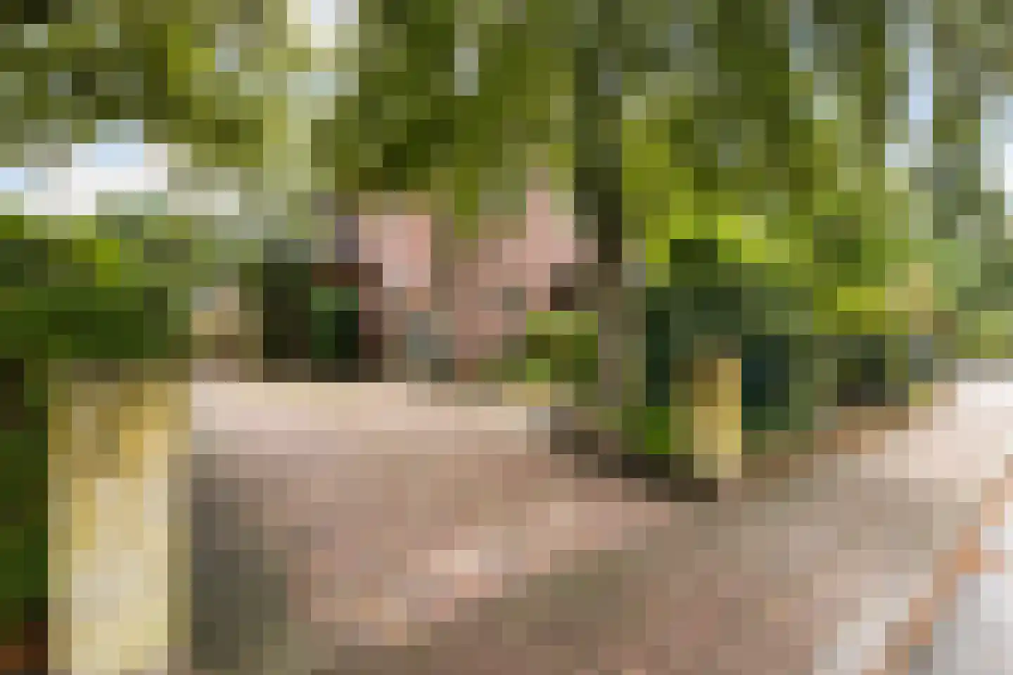Kampvelderweg 39 Ermelo thumbnail 11