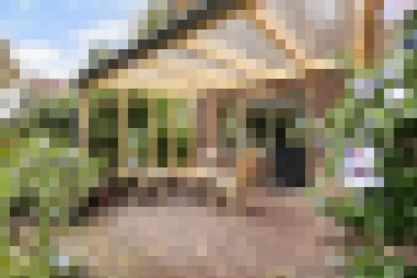Kampvelderweg 39 Ermelo thumbnail 46