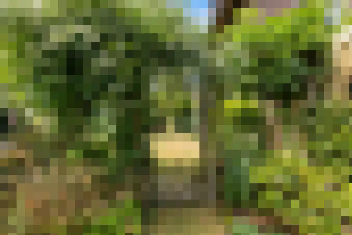 Kampvelderweg 39 Ermelo thumbnail 48