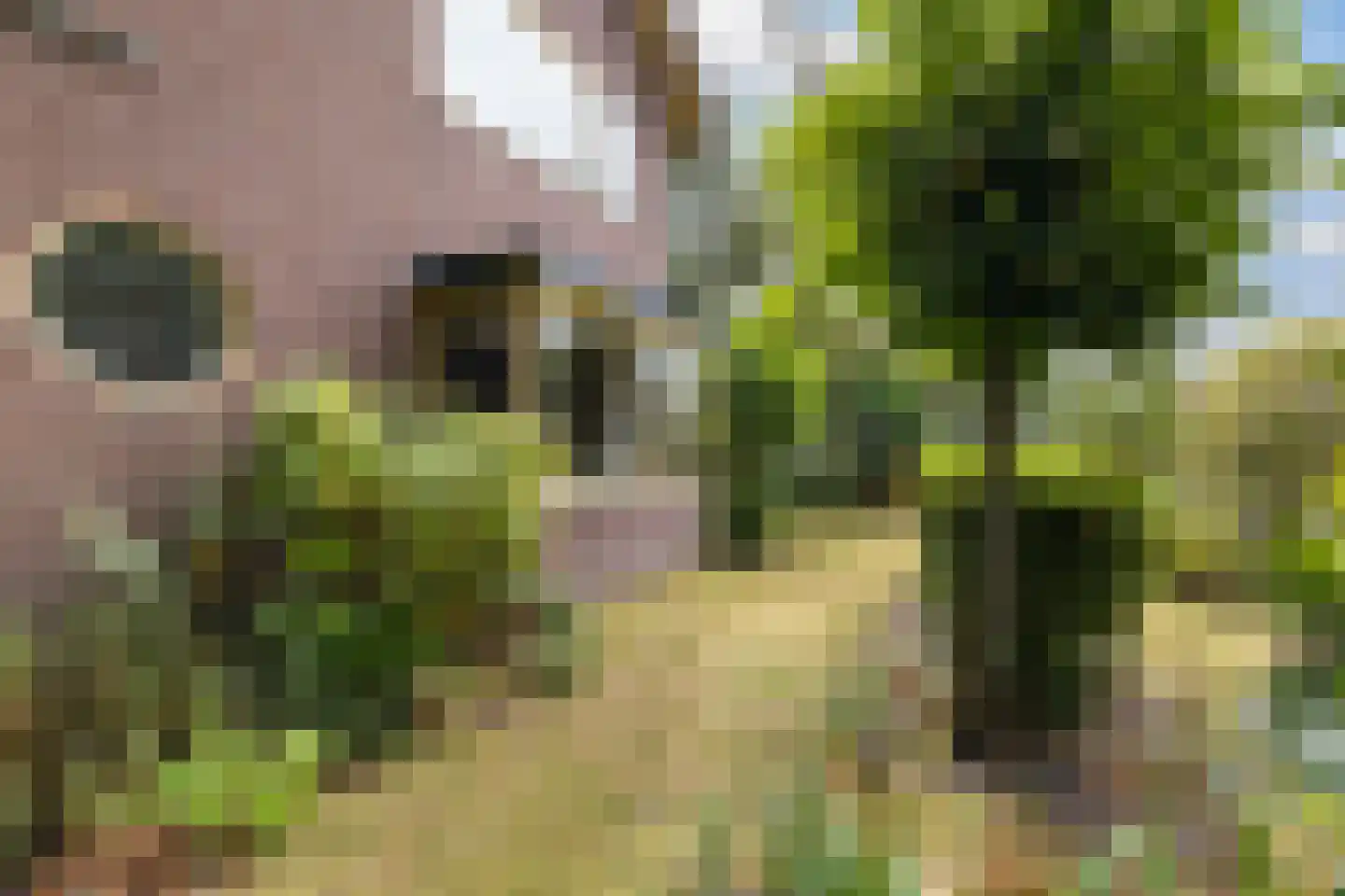 Kampvelderweg 39 Ermelo thumbnail 50
