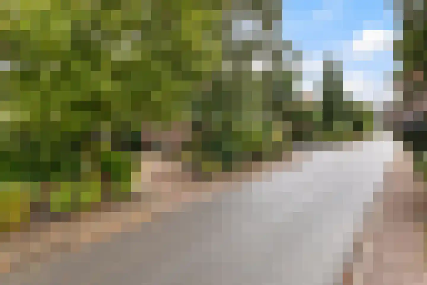 Kampvelderweg 39 Ermelo thumbnail 51