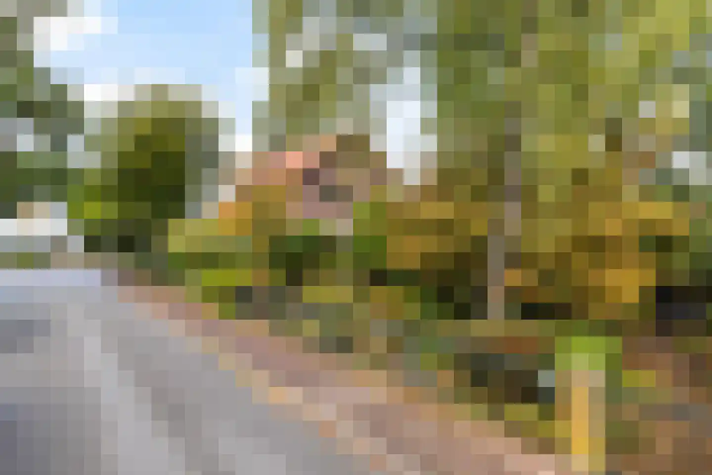 Kampvelderweg 39 Ermelo thumbnail 52