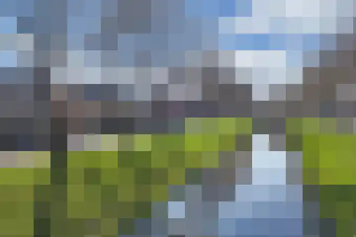 Kampwal 26 Emmeloord thumbnail 13