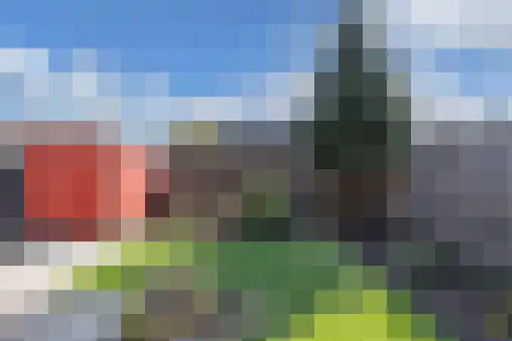 Kampwal 26 Emmeloord thumbnail 39