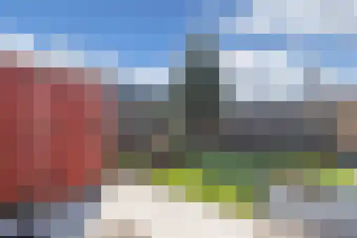 Kampwal 26 Emmeloord thumbnail 40